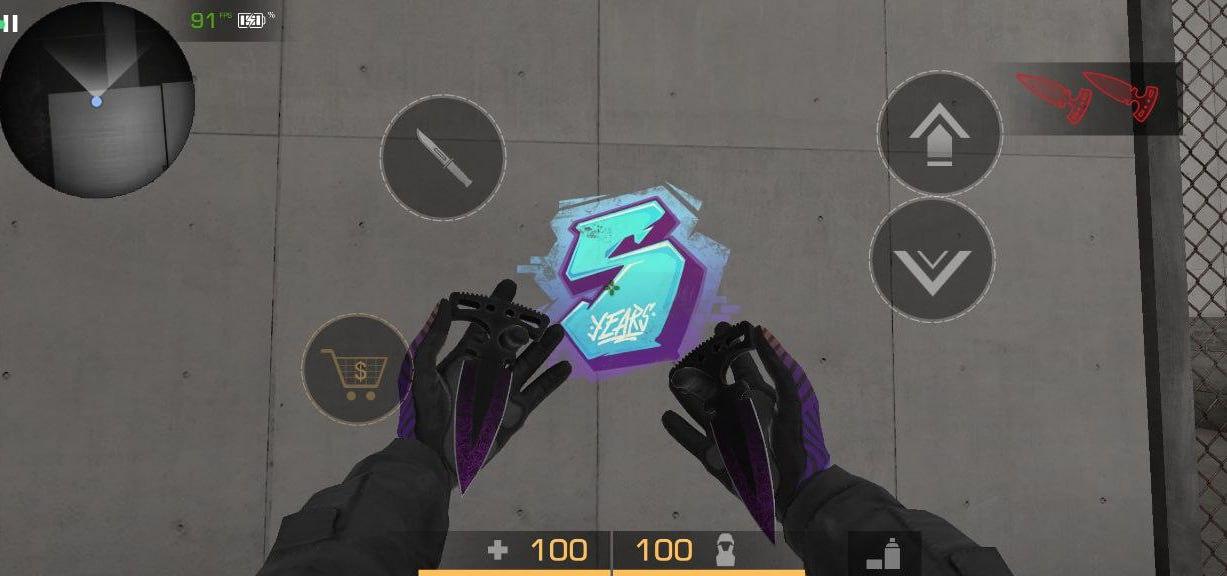 Приватка Project Rise 1.1