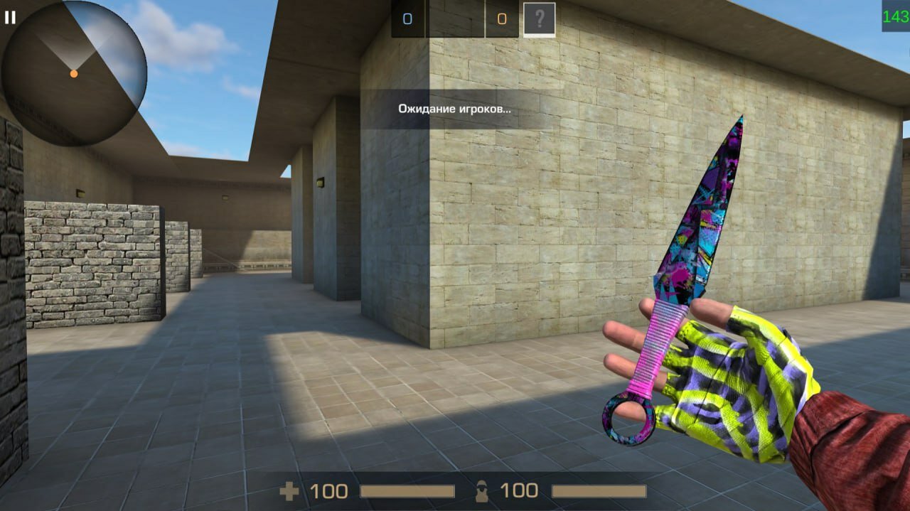 Приватный Сервер StandLeo 2.4