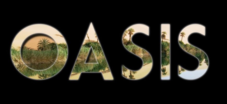 Oasis AI Minecraft