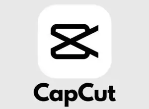 CapCut Pro