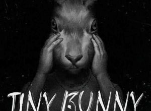 Tiny Bunny (Зайчик) - 5 Эпизод