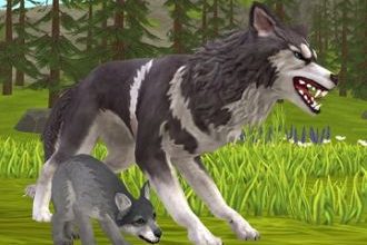 WildCraft