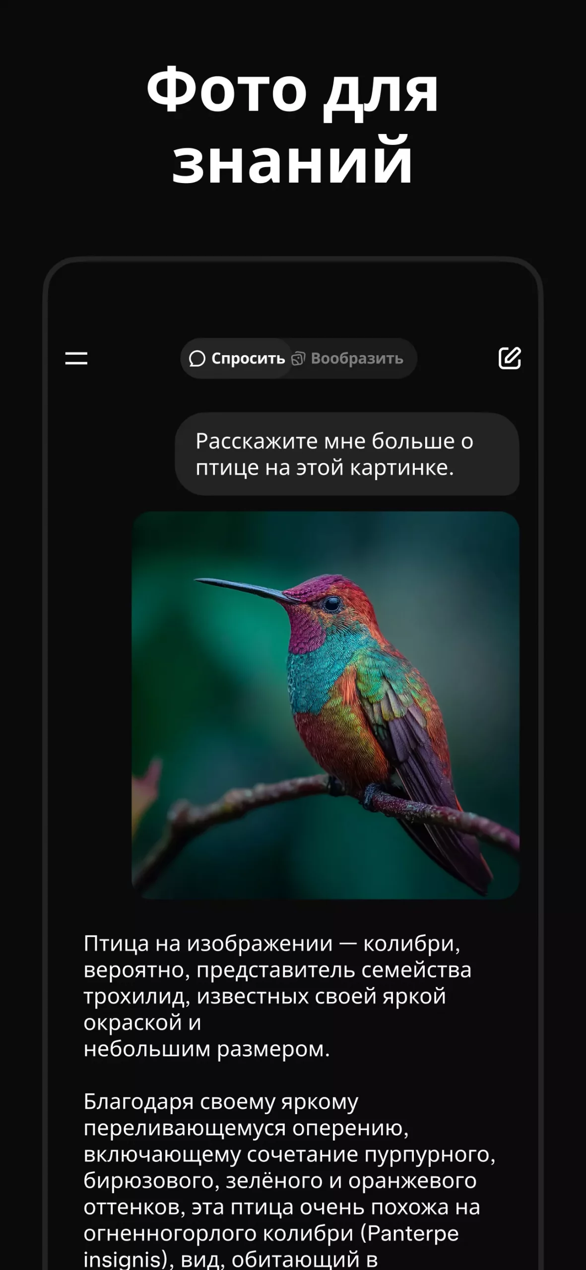 Grok - ИИ Ассистент